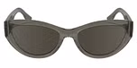 TRANSPARENT BROWN