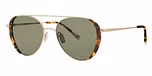 Tortoise / polarized