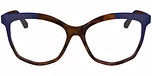 TORTOISE / BLUE