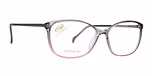 Grey / Titanium temples
