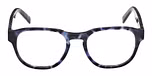 BLUE/HAVANA / BLUE/HAVANA