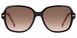BLACK NUDE (BROWN SHADED)