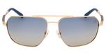 SHINY PALE GOLD / SHINY PALE GOLD / SMOKE POLARIZED