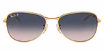 Gold / Blue polarized