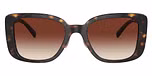 Dark Tortoise / Dark Brown Gradient