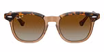 Havana On Transparent / Brown / Brown / Polarized