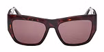 DARK HAVANA / DARK HAVANA / BROWN
