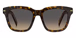HAVANA (GREY BROWN DOUBLESHADE / DOUBLE GRADIENT) / ECO ACETATE
