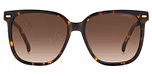 HAVANA (BROWN SHADED)