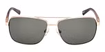 MATTE PALE GOLD / LIGHT BROWN/HORN / GREEN