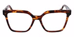 BLONDE TORTOISE