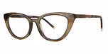 Visor Tortoise