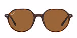 HAVANA / havana / polarized brown