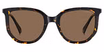 HAVANA / BRONZE POLARIZED
