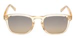 CRYSTAL / CRYSTAL / BROWN POLARIZED