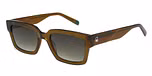 Brown / CRYSTAL GRN W/ BRN / Graduated