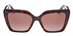 DARK HAVANA / DARK HAVANA / GRADIENT BROWN