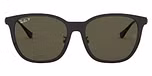 Black / Green polarized