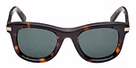 DARK HAVANA / DARK HAVANA / GREEN