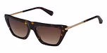 DARK TORTOISESHELL / GRADUATED