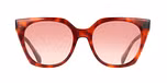 RED TORTOISE