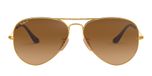 ARISTA / gold / brown gradient polarized