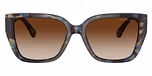Bright Blue Tortoise / Blue / Brown Gradient