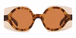 Havana Top Transparent Brown / Brown