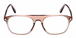 Shiny Light Brown / Shiny Light Brown
