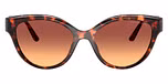 Luggage Tortoise / Tortoise / Brown Gradient
