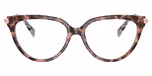 Pink Tortoise