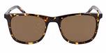 MATTE AMBER TORTOISE