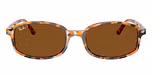 Havana Brown Grey / Brown / Brown Polarized