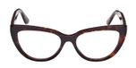 DARK HAVANA / DARK HAVANA