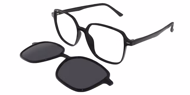 Sigma - 2314 - With Polarised Clip on