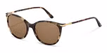 havana / gold / brown / mirroro / gold + AR - 81%