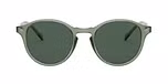 TRANSPARENT GREY/dark green