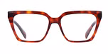 RED TORTOISE