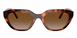 Dark Havana / Brown / Gradient Brown Polarized
