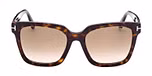 DARK HAVANA / GRADIENT BROWN