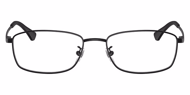 Emporio Armani - EA1169D