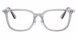 Transparent Grey / Grey