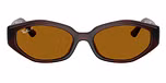 Dark Brown / Brown / Dark Brown Polar