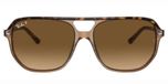 Havana On Transparent Brown / Brown polarized