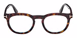 DARK HAVANA / DARK HAVANA / GREEN