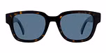 Tortoise / Blue Polar / Polarized