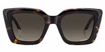 HAVANA (BROWN SHADED / GRADIENT)