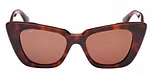 DARK HAVANA / DARK HAVANA / BROWN