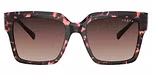 Red Tortoise / Brown Gradient Purple Gradient Black