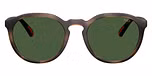 Matte Dark Havana / Bottle Green